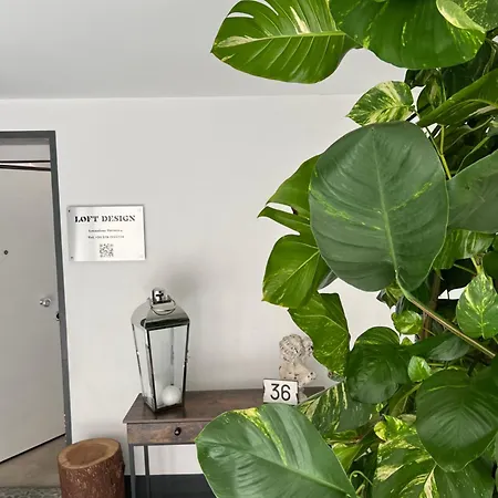 Loftdesign 住宿加早餐酒店