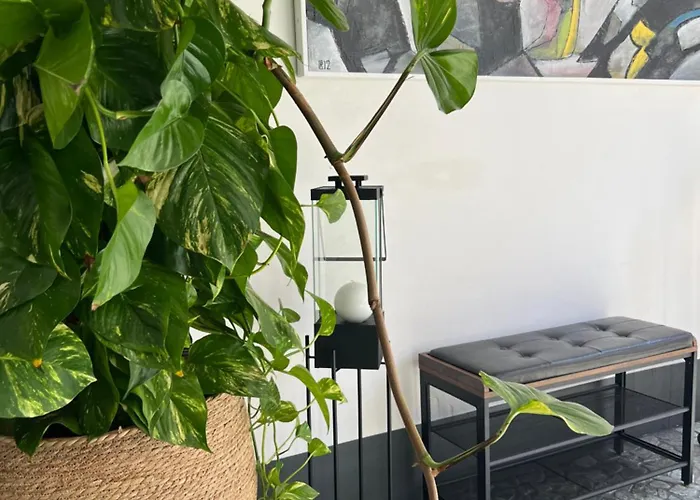 Loftdesign Panzió Verona